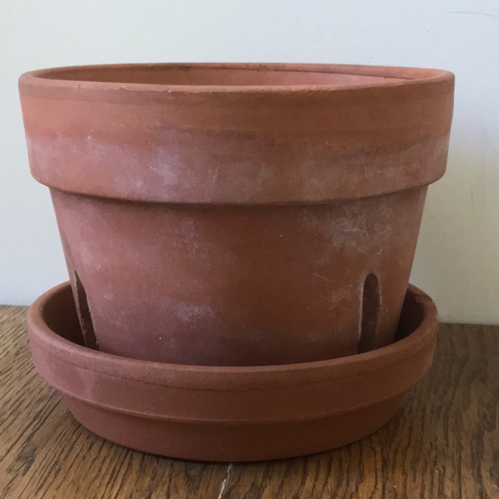 Terra Cotta Flower Pot with Saucer Dominican  Republic and Italy
